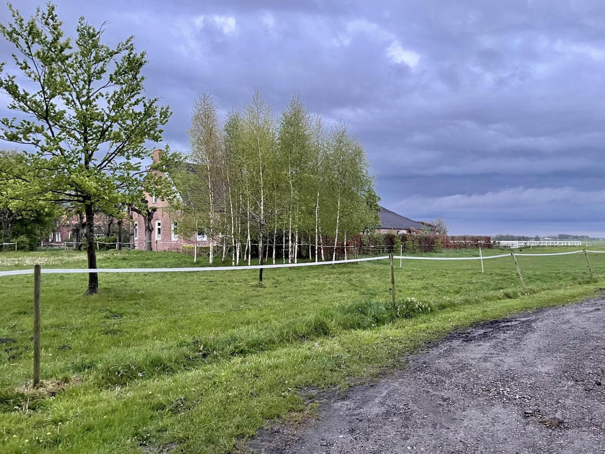 Steinhaus Hof Villa Bunde  Luaran gambar