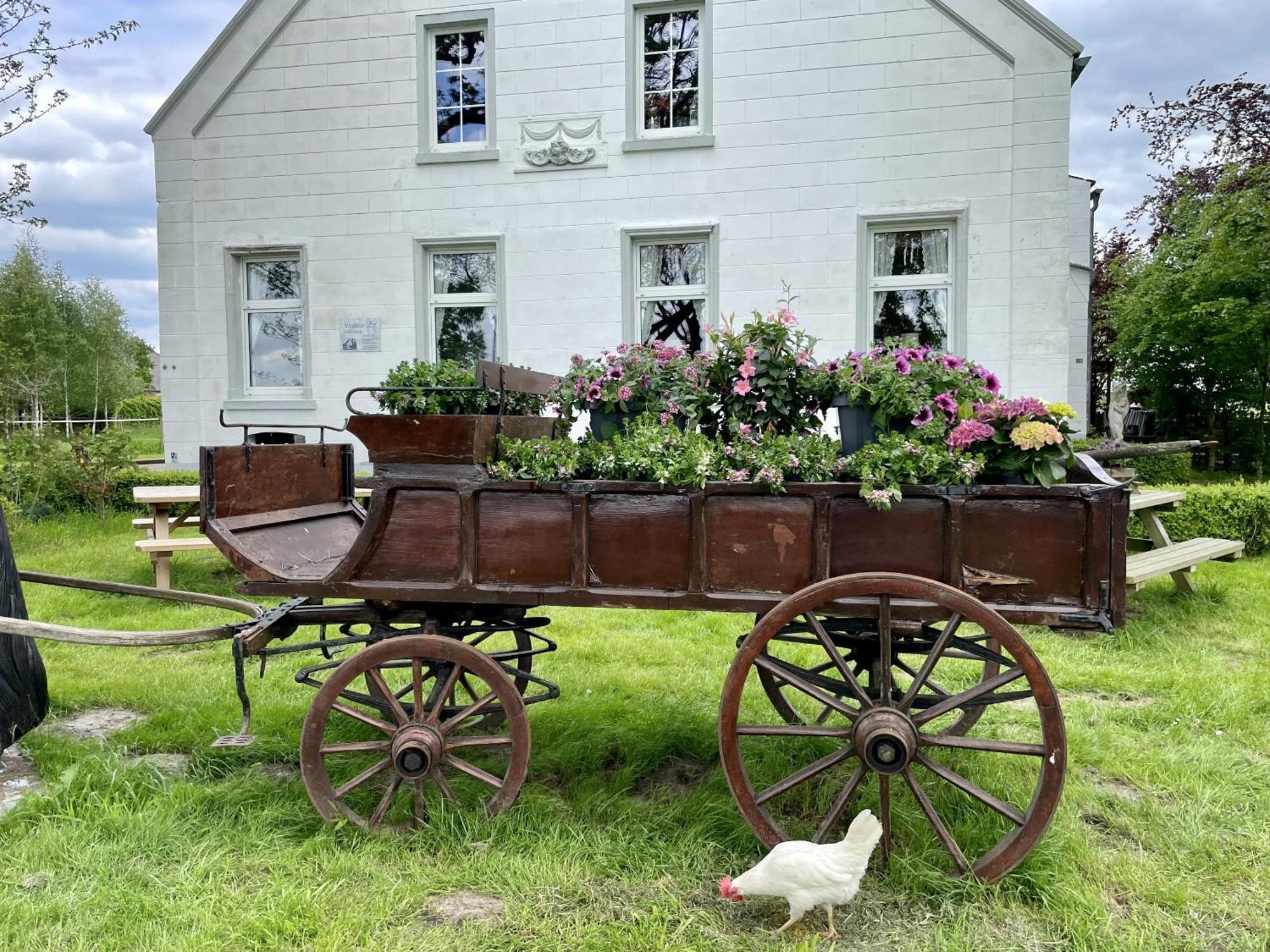Steinhaus Hof Villa Bunde  Luaran gambar