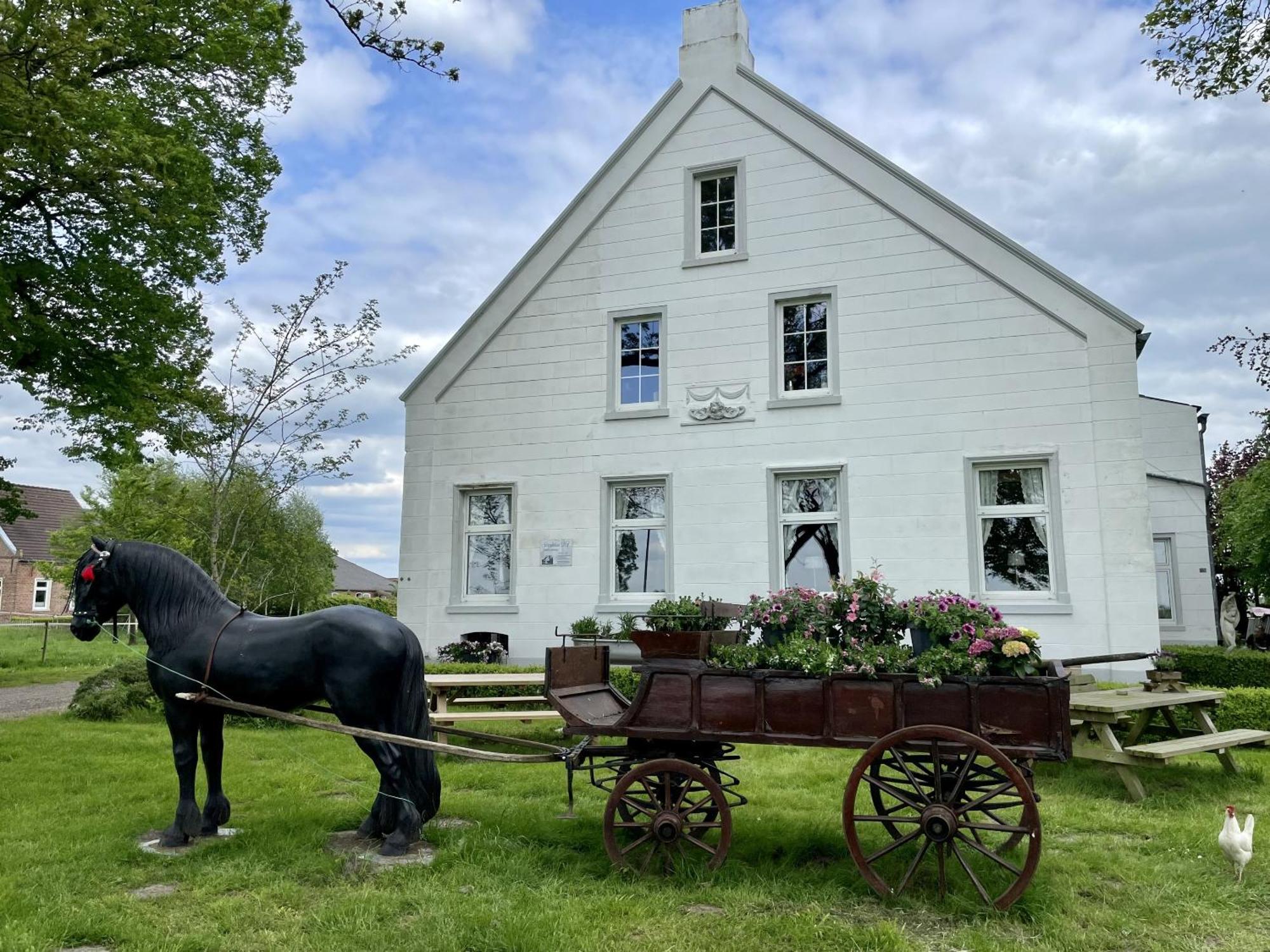 Steinhaus Hof Villa Bunde  Luaran gambar