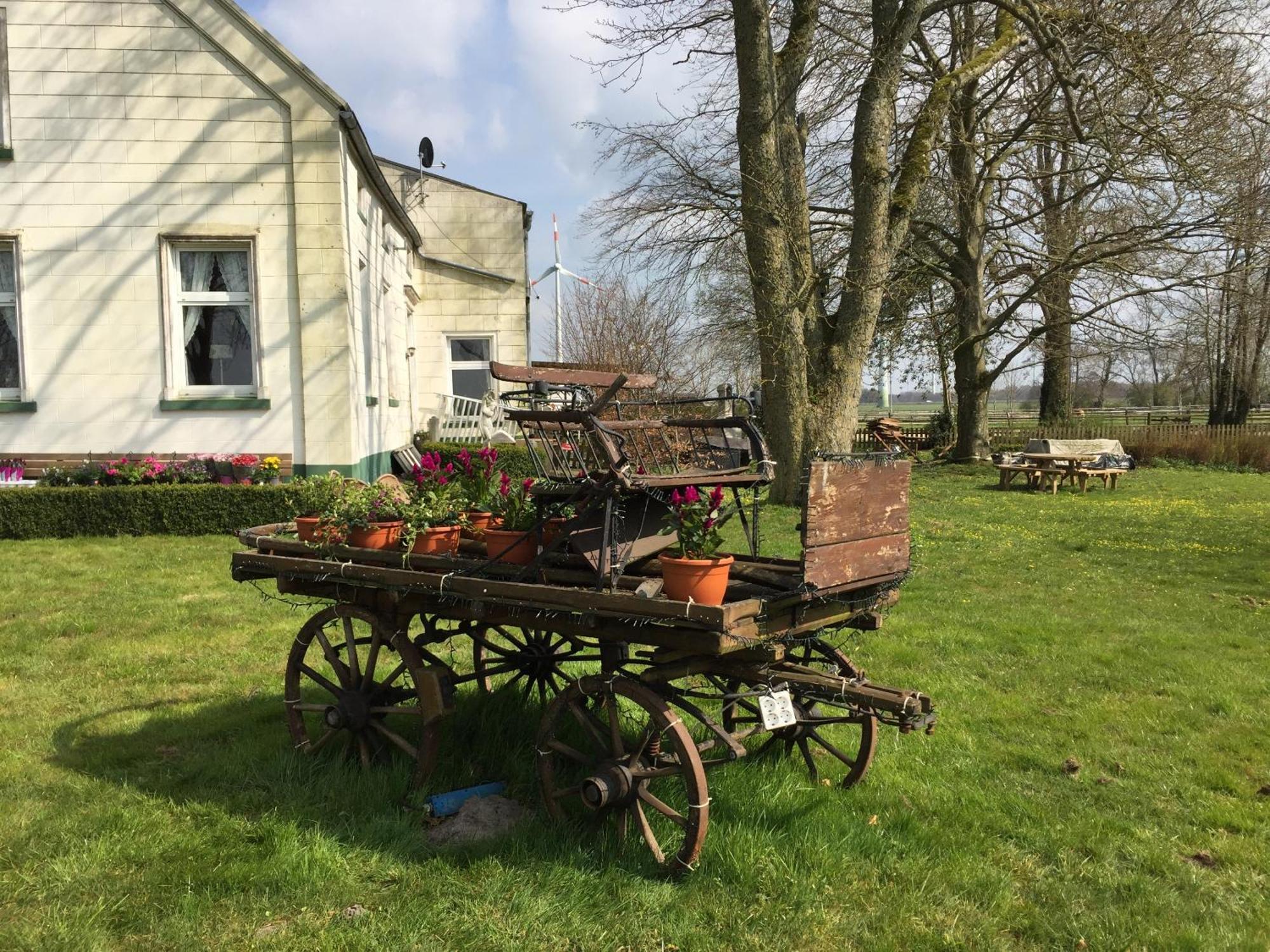 Steinhaus Hof Villa Bunde  Bilik gambar